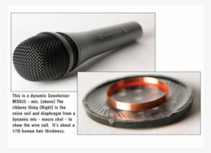 Dynamic - Microphone Size