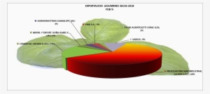 Legumbres Y Hortalizas Secas, Albahaca, Perejil, Poro, - Vegetable
