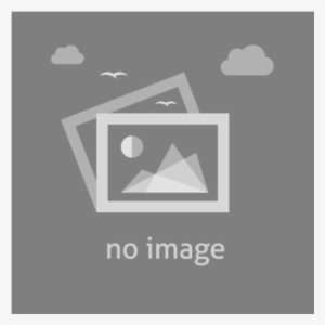 パルコアラ L ぬいぐるみ 高さ50cm