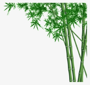 Bamboo Forest Transparent - Green Bamboo Wall