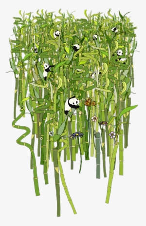 Click And Drag To Re-position The Image, If Desired - Giant Panda