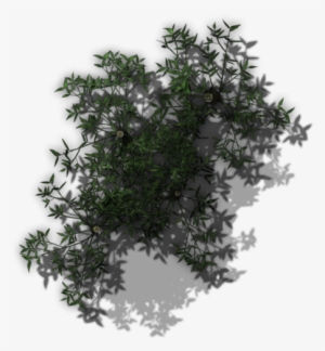 Qebf Night Bamboo Stand 3 - Moss