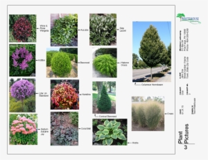 Clipart Resolution 1056*816