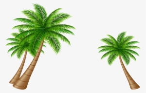 Apple Tree Vector Image - Coconut Tree Vector Png