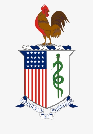 High Definition Image Of Coat Of Arms - Amedd Regimental Crest