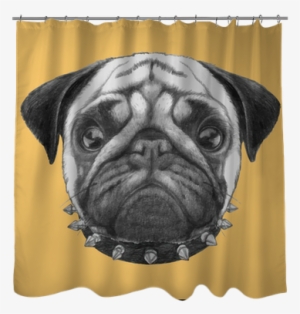 Hand Drawn Portrait Of Pug Dog With Collar