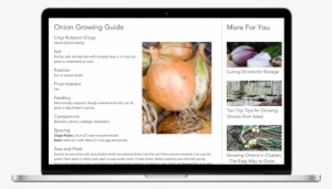 Vegetable Growing Information - Gardening