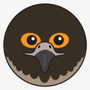 Animaru Peregrine Falcon - Cartoon