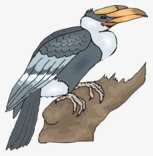 Falcon Clipart Branch - Clip Art Of Horn Bill