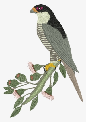 Machine Embroidery Design - Falcon