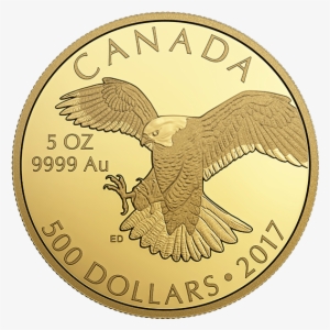 Pure Gold Coin Peregrine Falcon Mintage - Gold