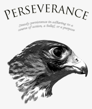 Click And Drag To Re-position The Image, If Desired - Drawing