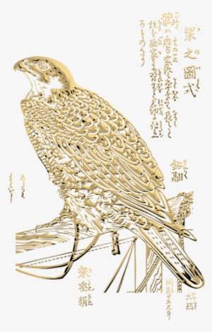 Bleed Area May Not Be Visible - Drawing