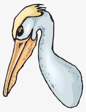 Pouch Like Beak Clipart