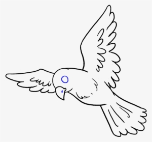 How To Draw Bird - Bird Easy To Draw