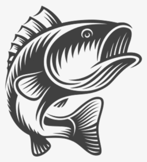 Big-fish - Bass Fish Vector
