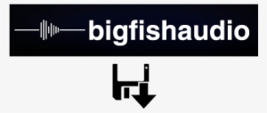 Big Fish Download - Big Fish Audio Png