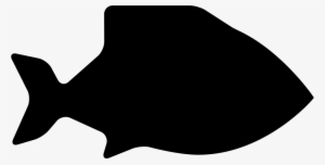 Big Fish -