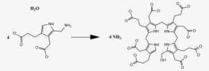 Overall Pbg Deaminase Reaction - Porphobilinogen Structure