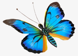 Colors - Biografia De Una Mariposa