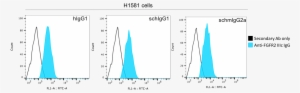 Flow Cytometry Of Fgfr2c - Sail