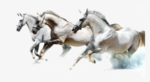 Pentium Horse Pattern Image - Sandy 5'x7'area Rug