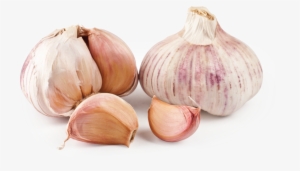 Ajo Png - Diente De Ajo Png
