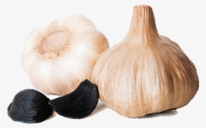 Ajo Negro Español Spanish Black Garlic - Garlic