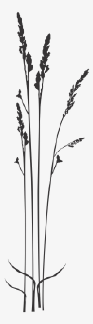 Choose Color - Twig