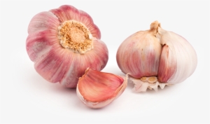 Inicio - Garlic Purple