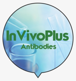 Bio X Cell Most Popular Antibodies Are Also Available
