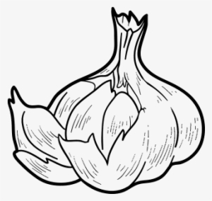 Alho Desenho Png - Dibujos De Un Ajo