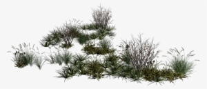 Foglie E Rami Fioriti Gif E Tube - Erba E Cespugli Png