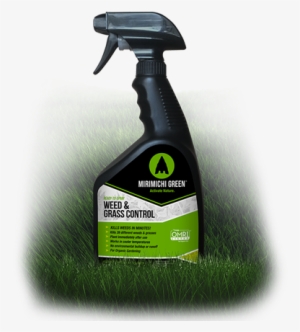 Weed & Grass Control Ready To Use Spray - Weed