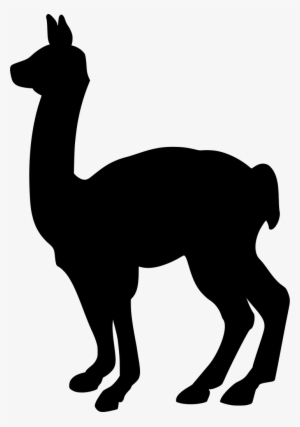 Download Png - Cartoon Llama Transparent Png