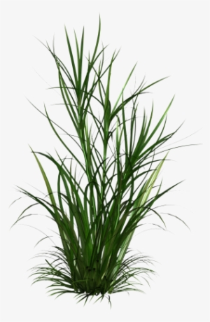 Autocad, Sculpting, Clip Art, Rpg - Shrubs Png