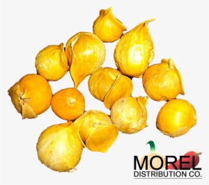 Send - Japanese Garlic//ajo Japones (100% Natural!!) Choose