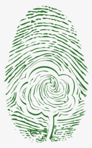 También Les Anexo Un Reporte Donde Se Mide La Huella - Sketch