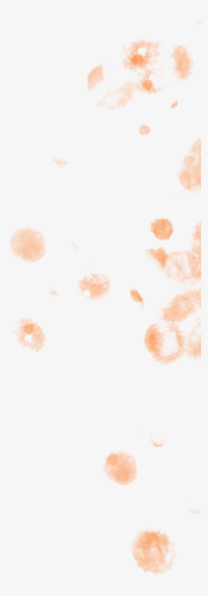 Occipital Lobe - Illustration