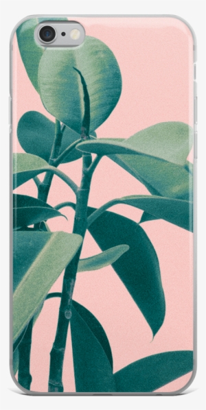 Tropical Palms Iphone Case - Pflanze Danken Ihnen Karte