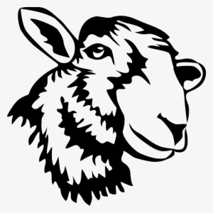 Missions - Cabeza De Borrego Dibujo