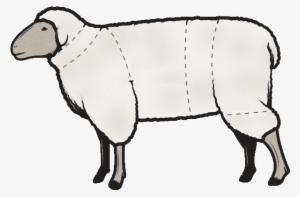 Head And Neck - Lamb Cuts Illustration