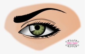 As Sobrancelhas São Determinantes Na Harmonia Dos Traços - Transparent Background Eye Clip Art