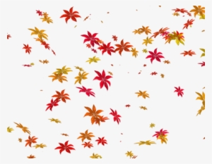 Folhas De Outono - Im Sorry Dear Friends