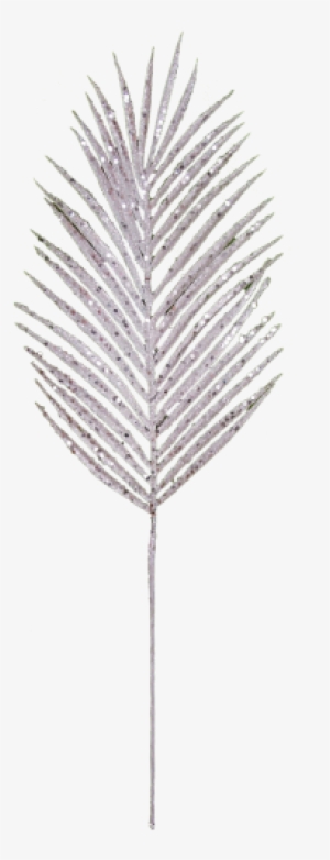 Descrição - Grass