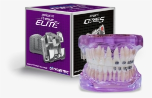 Após Muitos Pedidos Nós Abrimos Venda Do Manequim Misto, - Manequim Misto Orthometric