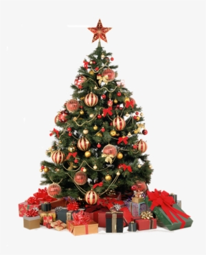 Sapin De Noel - Real Christmas Tree Png