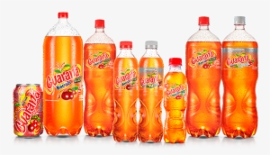 Alt-unica - Plastic Bottle