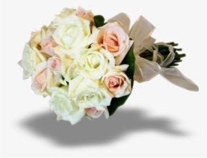 Ladyflor - Garden Roses