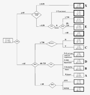 Entries In Each Terminal Group Represent The Proportion - Ratio